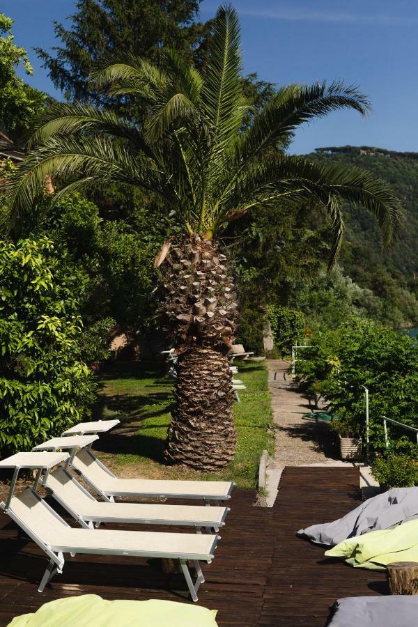Hotel La Culla Del Lago Castel Gandolfo Zewnętrze zdjęcie